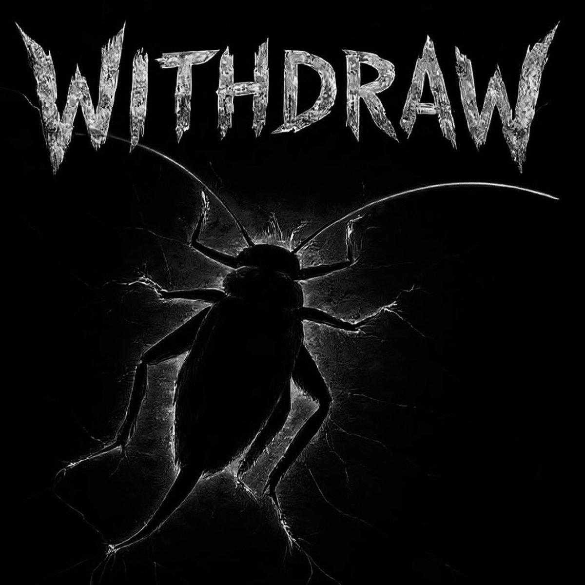 Metal Roach tweet media