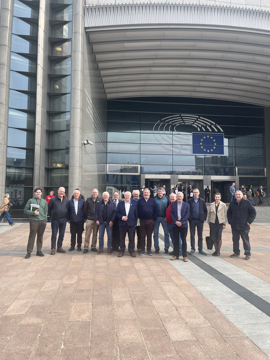 Amy Mulchrone tweet media