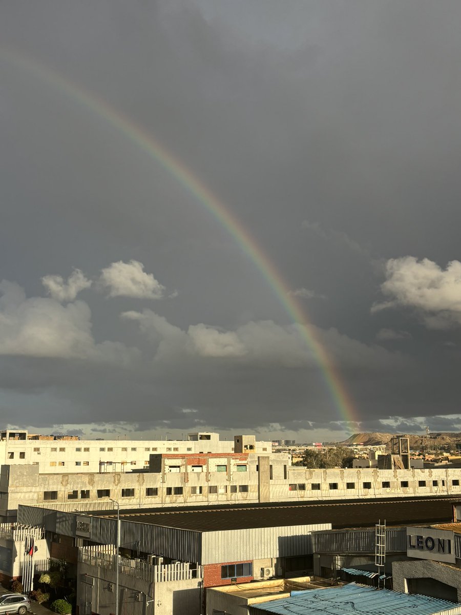 العميد tweet media