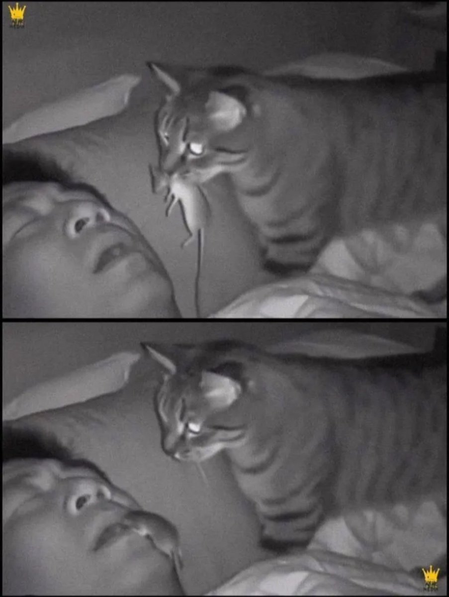 존맛탱 tweet media