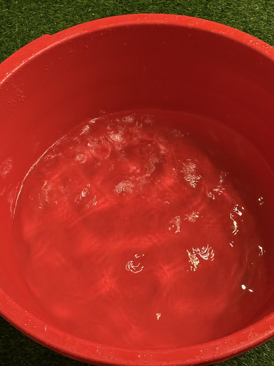 راعية الدار 🇦🇪 tweet media