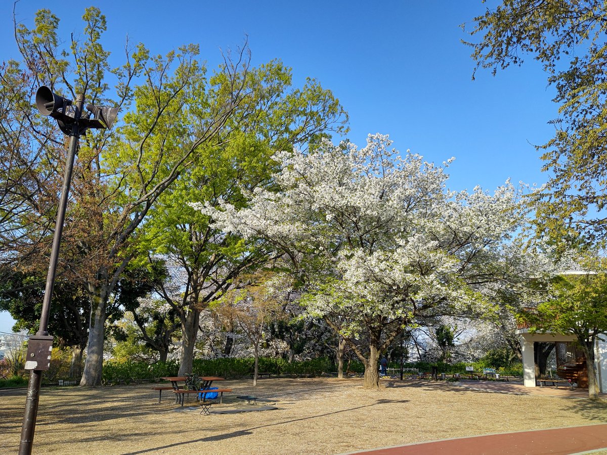 GROUP DESTROYER tweet media