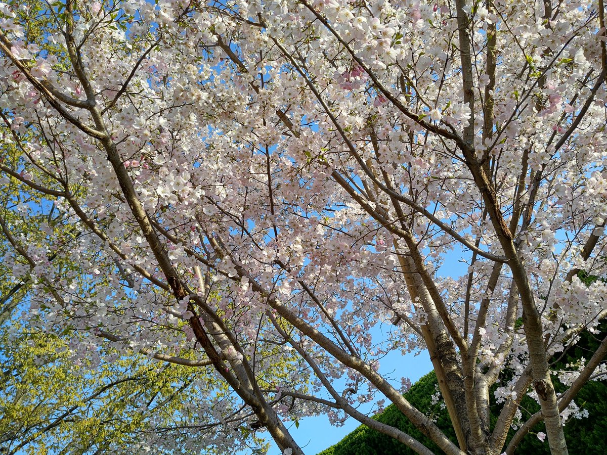 GROUP DESTROYER tweet media