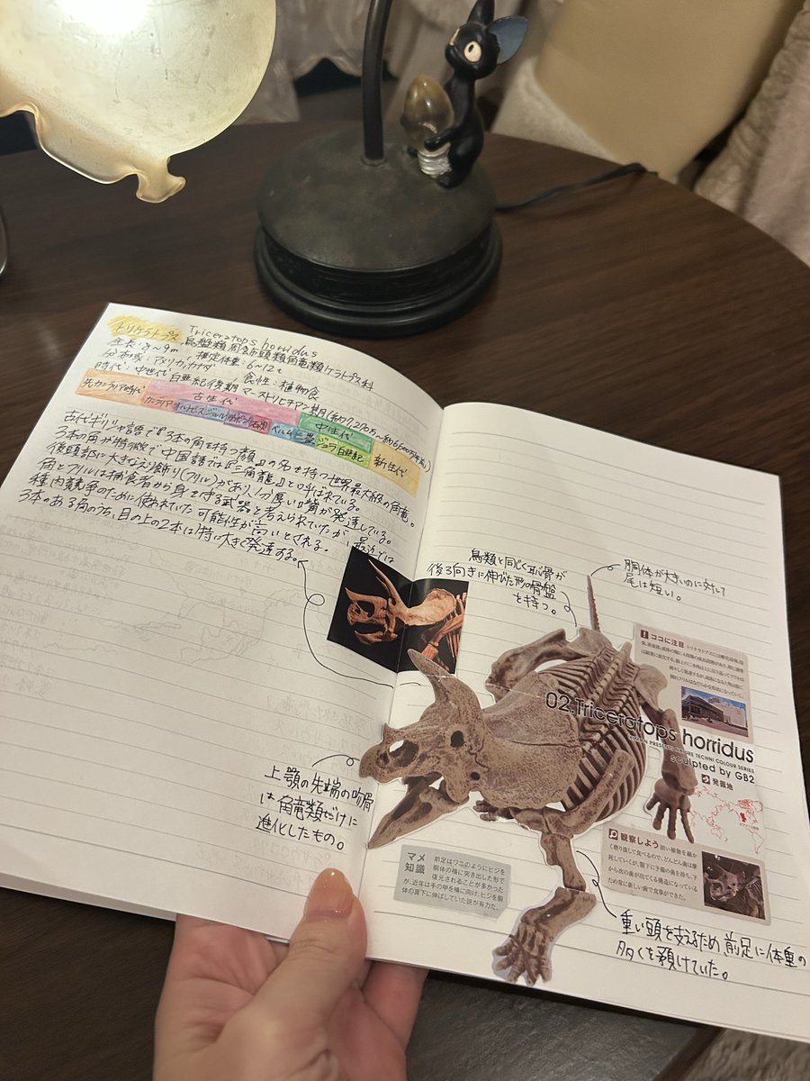 花咲もも(チーフトレーナー) tweet media