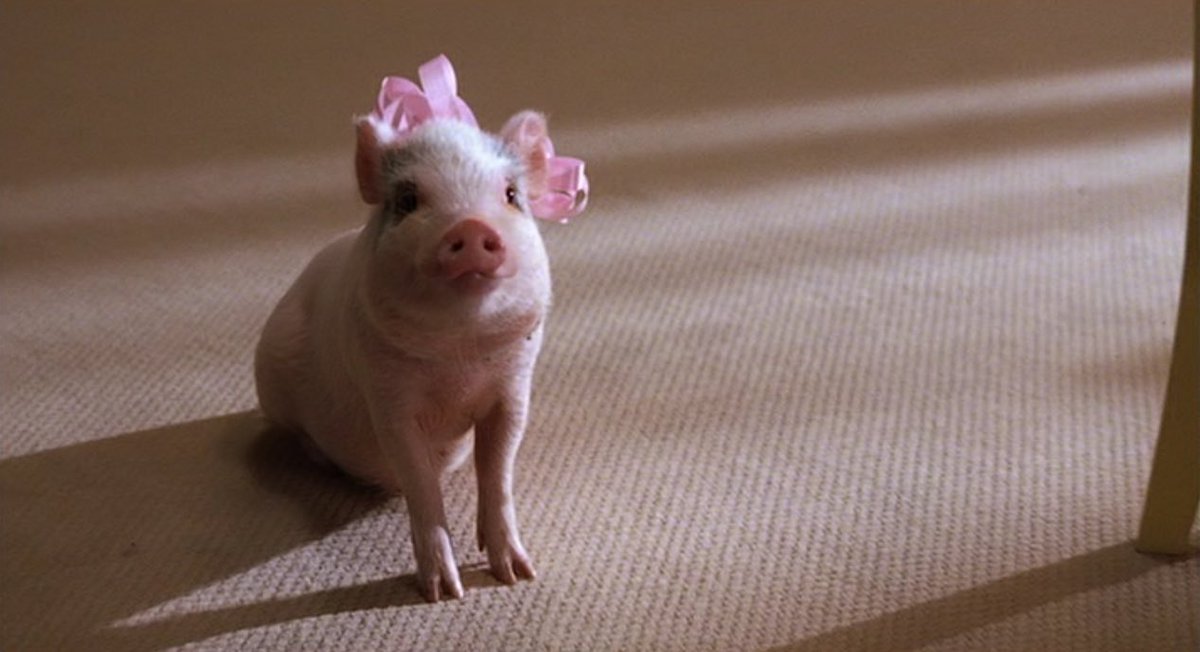 rod movies. tweet media