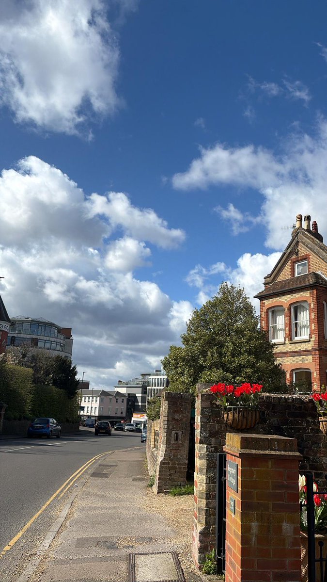 HASSAN⁵⁶ 🇵🇸 tweet media