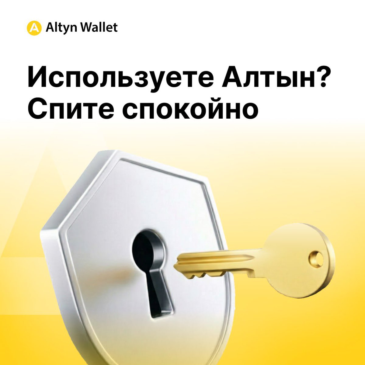 Altyn Wallet tweet media