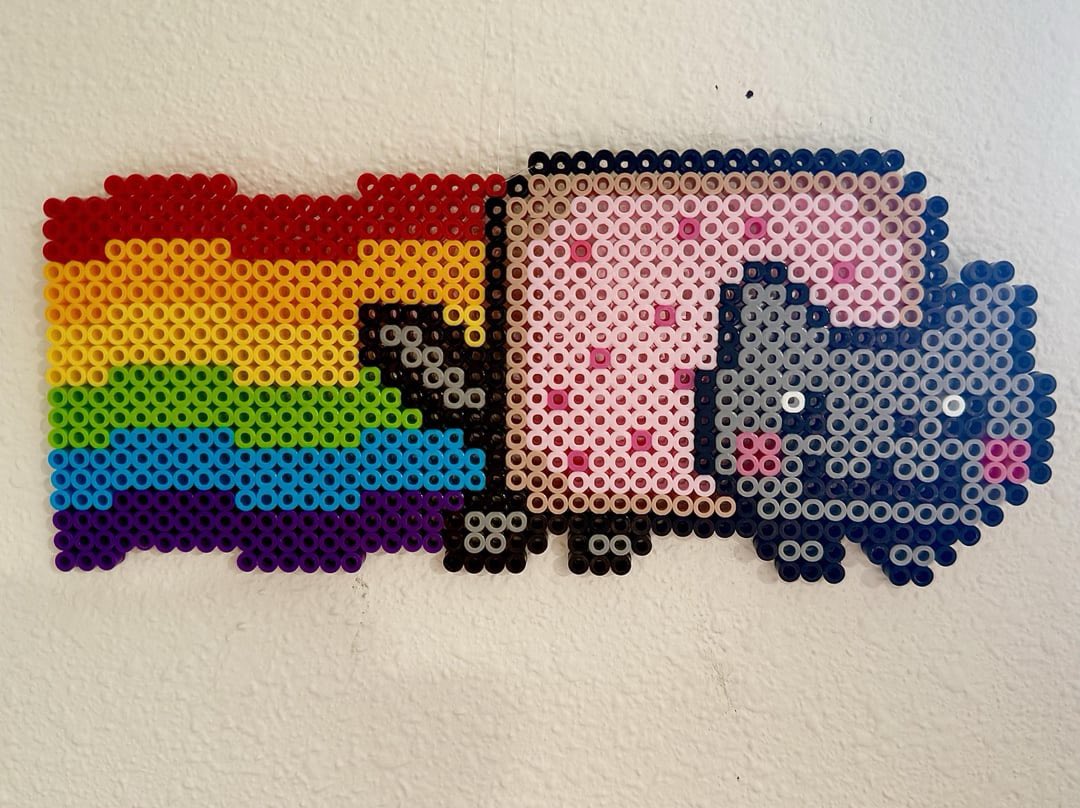 NyanCat's tweet photo. ✨ https://t.co/BAmThJCee0