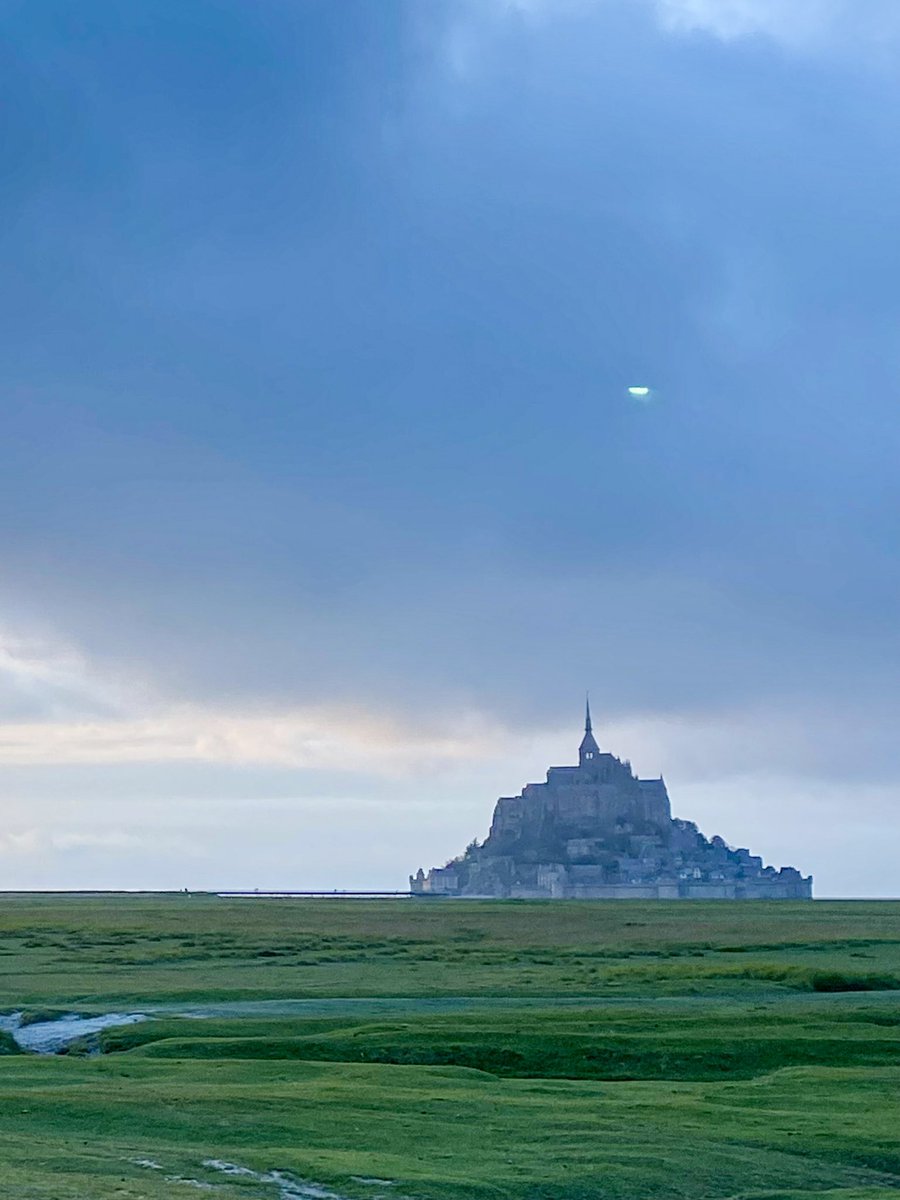 Globe Tucker tweet media