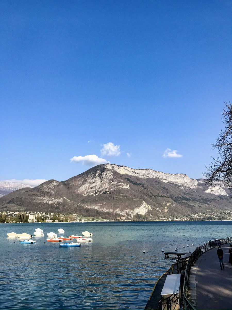 Globe Tucker tweet media