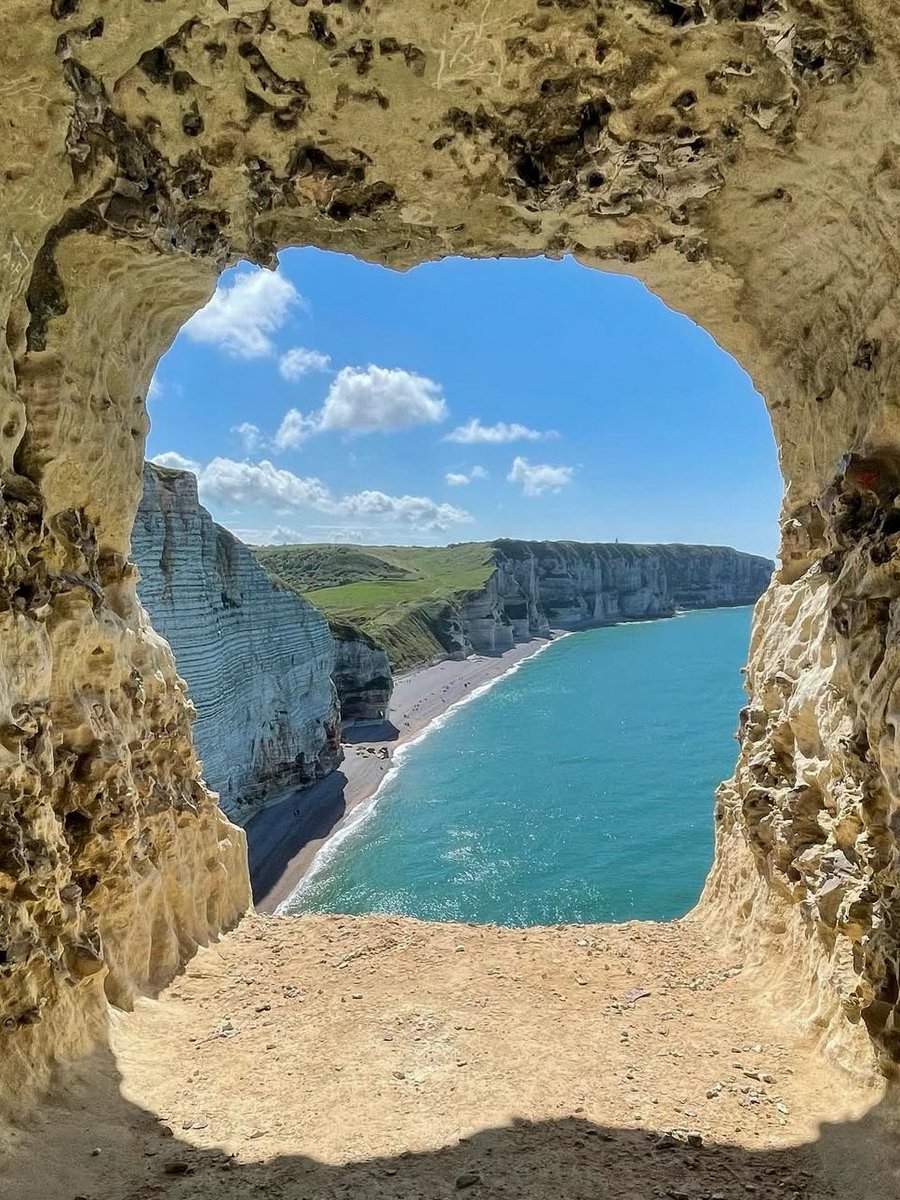 Globe Tucker tweet media