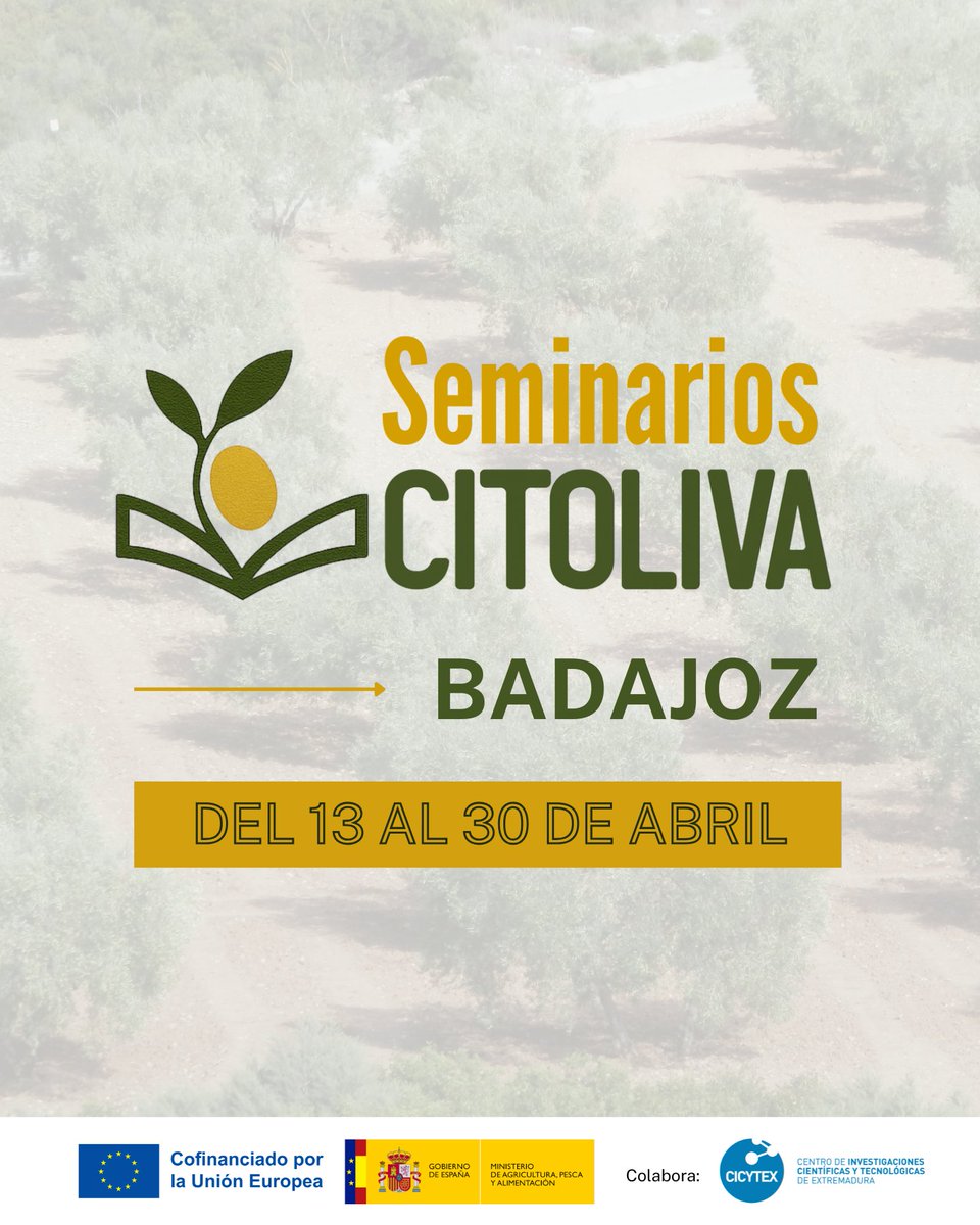 citoliva tweet media