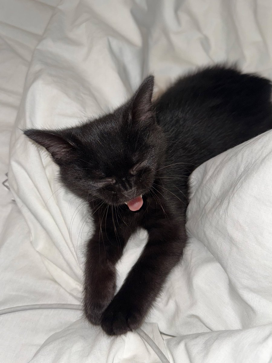 Marin ˚˖𓍢ִ🍓. ܁ tweet media