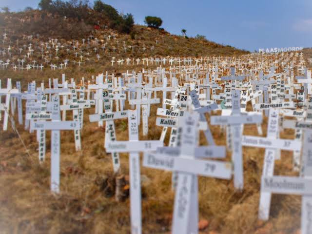 Maverick tweet media