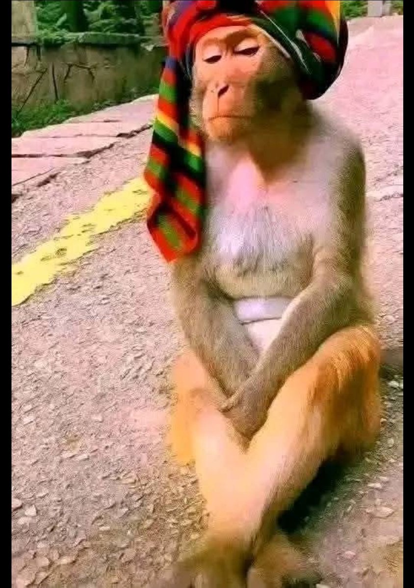 Med the Edede tweet media