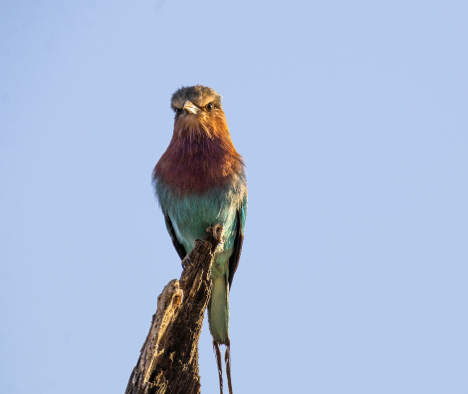 Saruni Basecamp tweet media