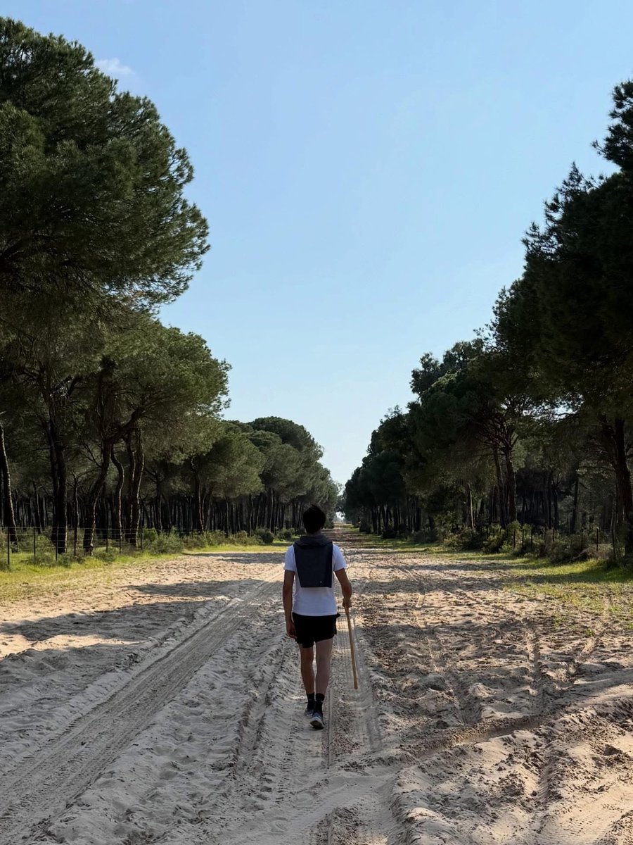 Andrés Roca Rey tweet media