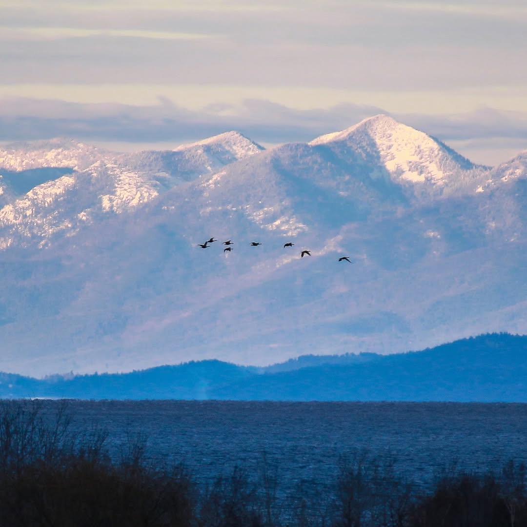 Western Montana's Glacier Country tweet media