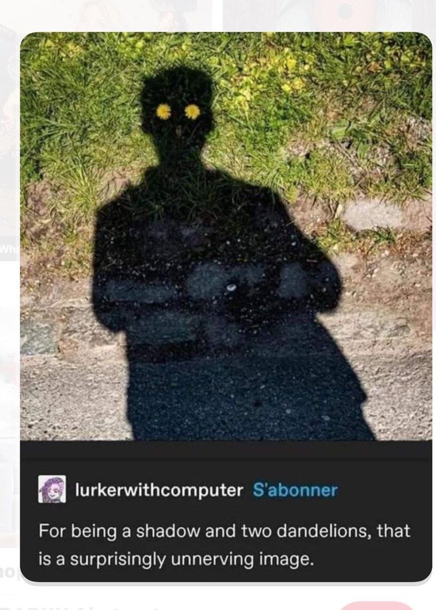 Internet Slop tweet media