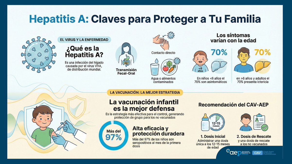 CAV_AEP's tweet photo. Recomendación de vacunación frente a la Hepatitis A.
La vacuna contra la hepatitis A es altamente inmunógena y su efecto es muy duradero, incluso con una única dosis, siendo una vacuna muy segura cuyos efectos adversos son leves y autolimitados. 
https://t.co/ySHUV3djHS https://t.co/8zzj6kwIjd