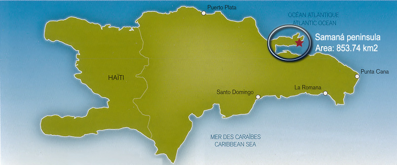 Tommy Christie tweet media