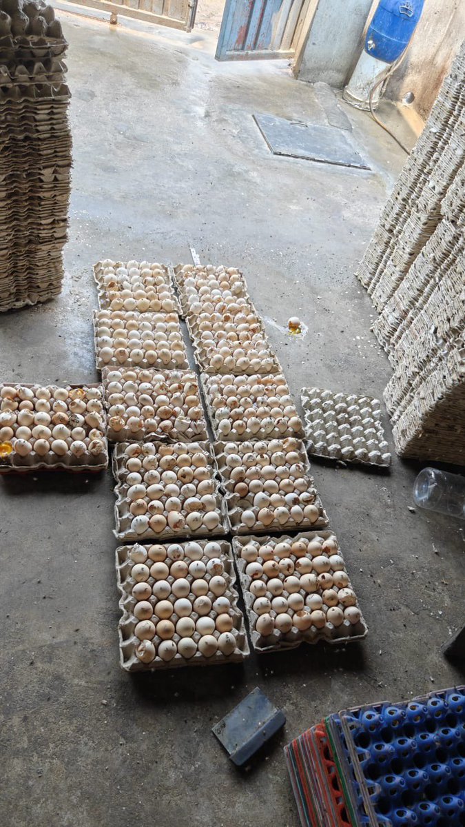 Manas Muduli tweet media