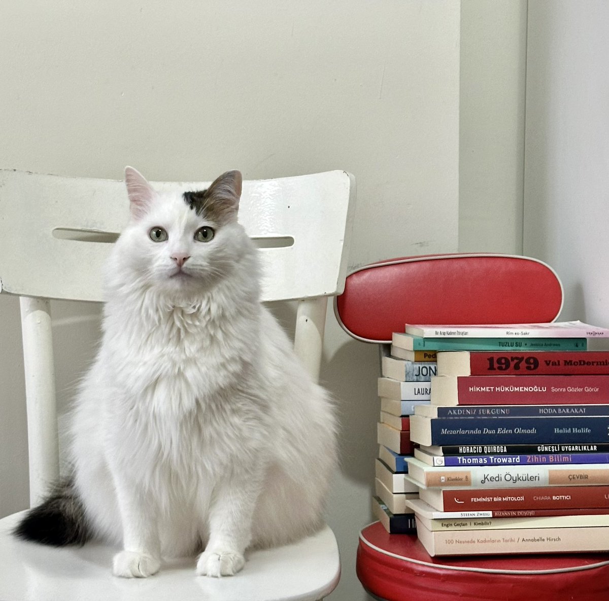 Burcu Ünlü tweet media