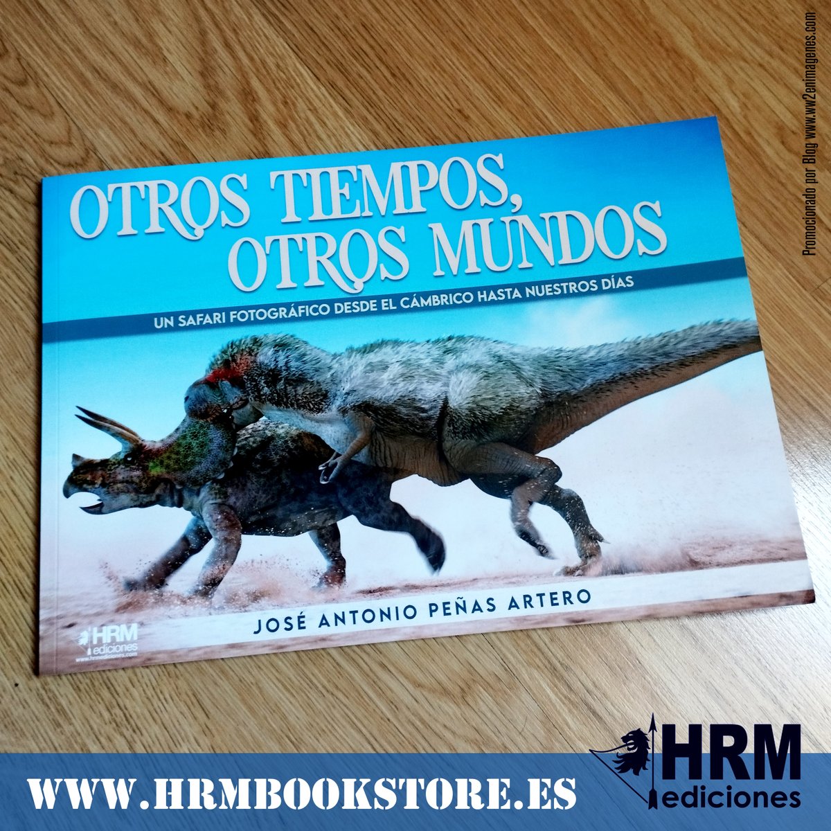 WW2 en Imágenes 🪖 tweet media