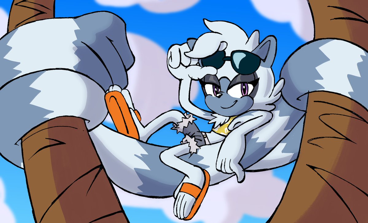 Velocity| comms open tweet media