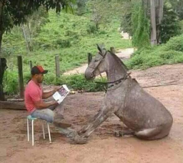 Lauane viu MCR 2x ✨️ tweet media