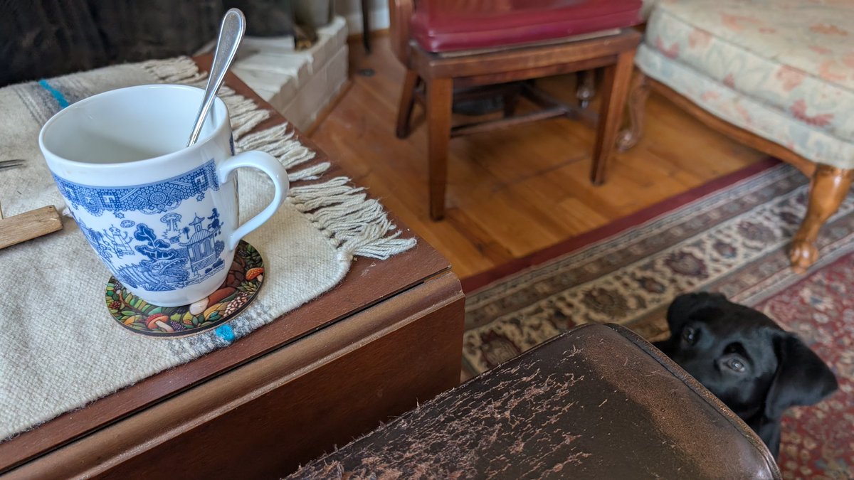 𝕷𝖎𝖛𝖎𝖓𝖌𝕯𝖊𝖉𝕱𝖗𝖆𝖐𝖊𝖘 tweet media