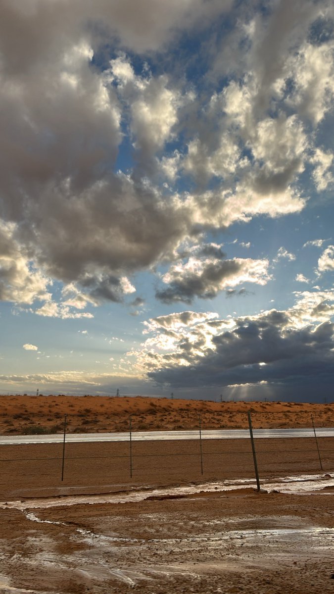 ᴍᴀʜᴀ ☪︎ tweet media