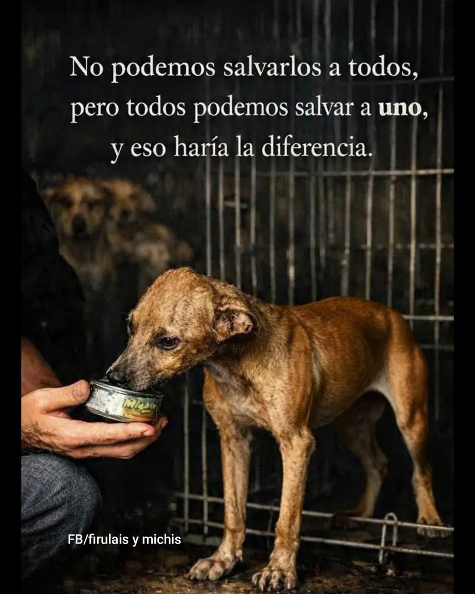 Alejandra Tamayo tweet media