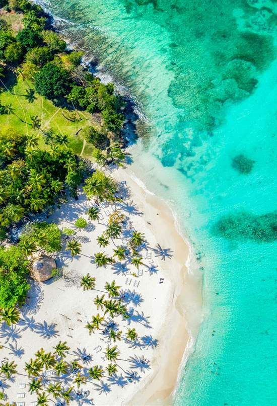 Tommy Christie tweet media