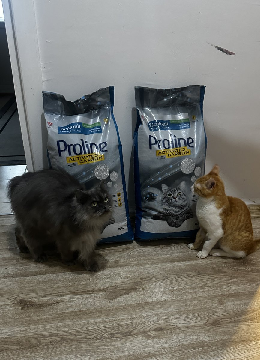 Geleceğime Yatırım (Atabey Adam) tweet media