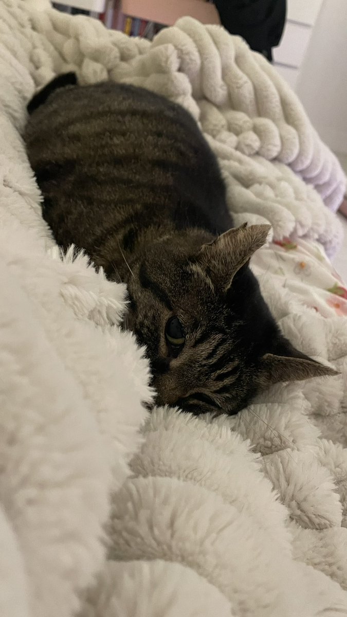 erin 🍓 tweet media