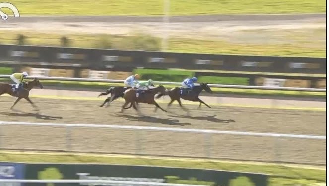 Galloping Guidance tweet media