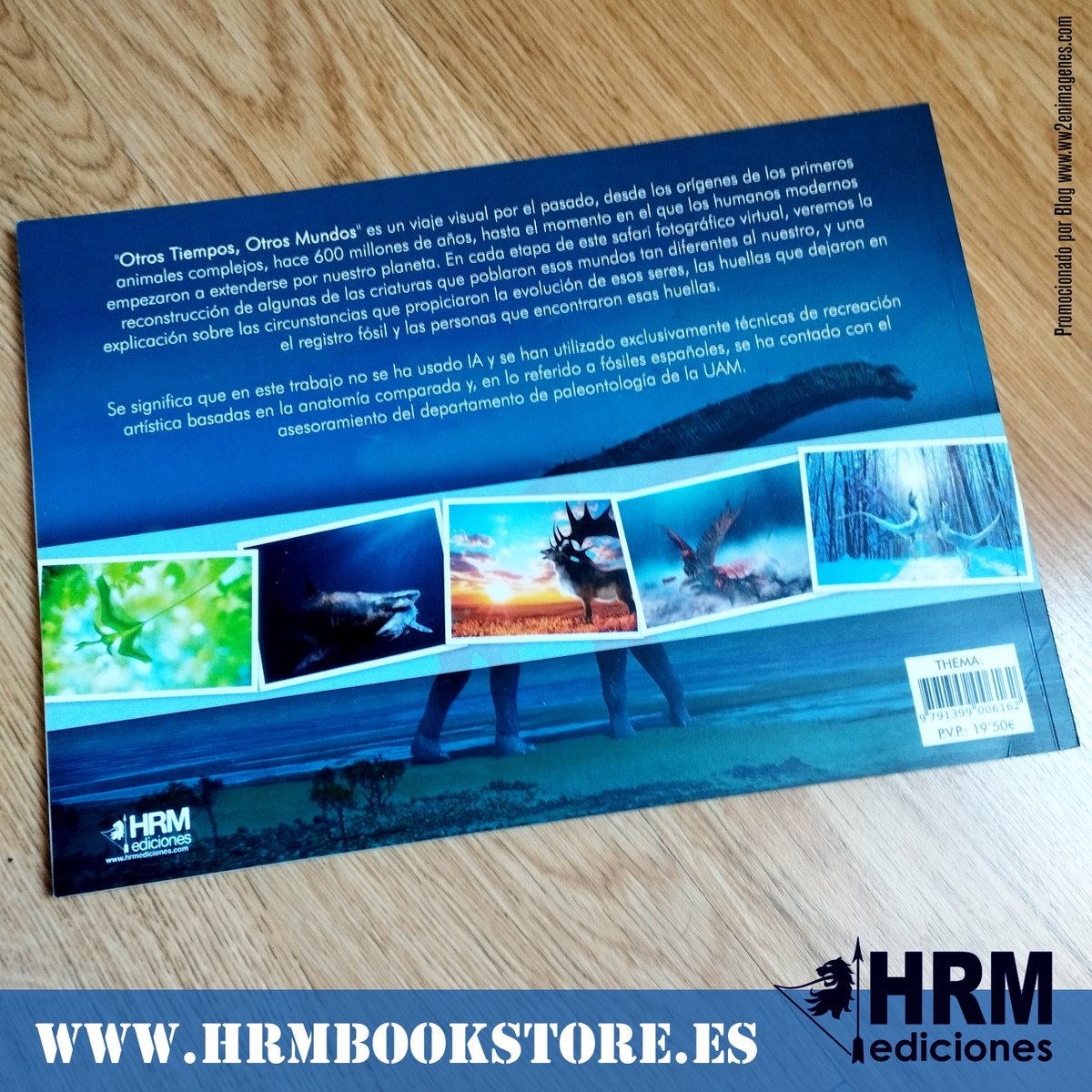 WW2 en Imágenes 🪖 tweet media