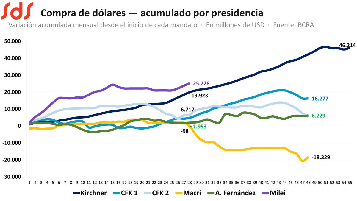 @salvadistefano tweet media