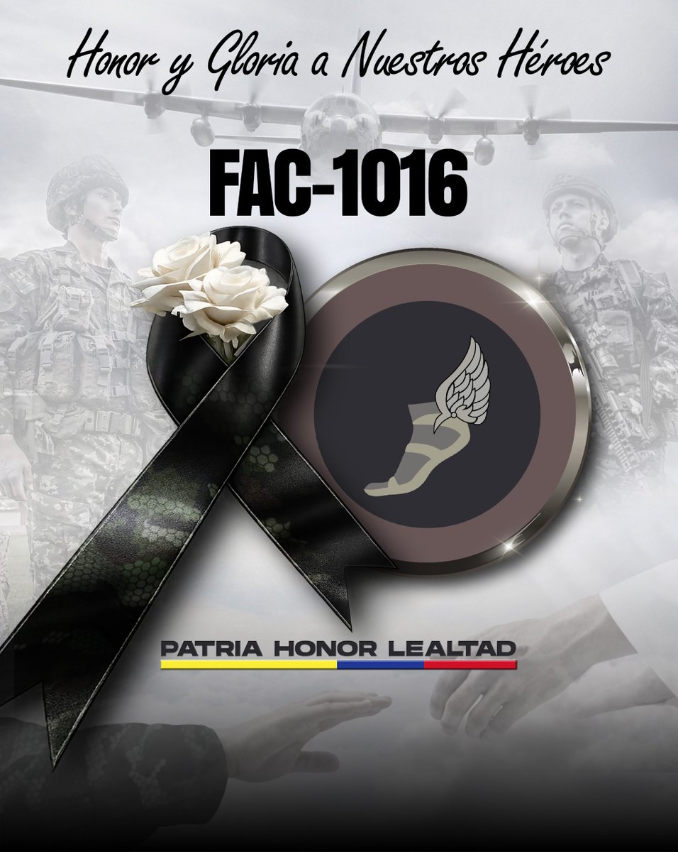 División de Aviación Asalto Aéreo tweet media