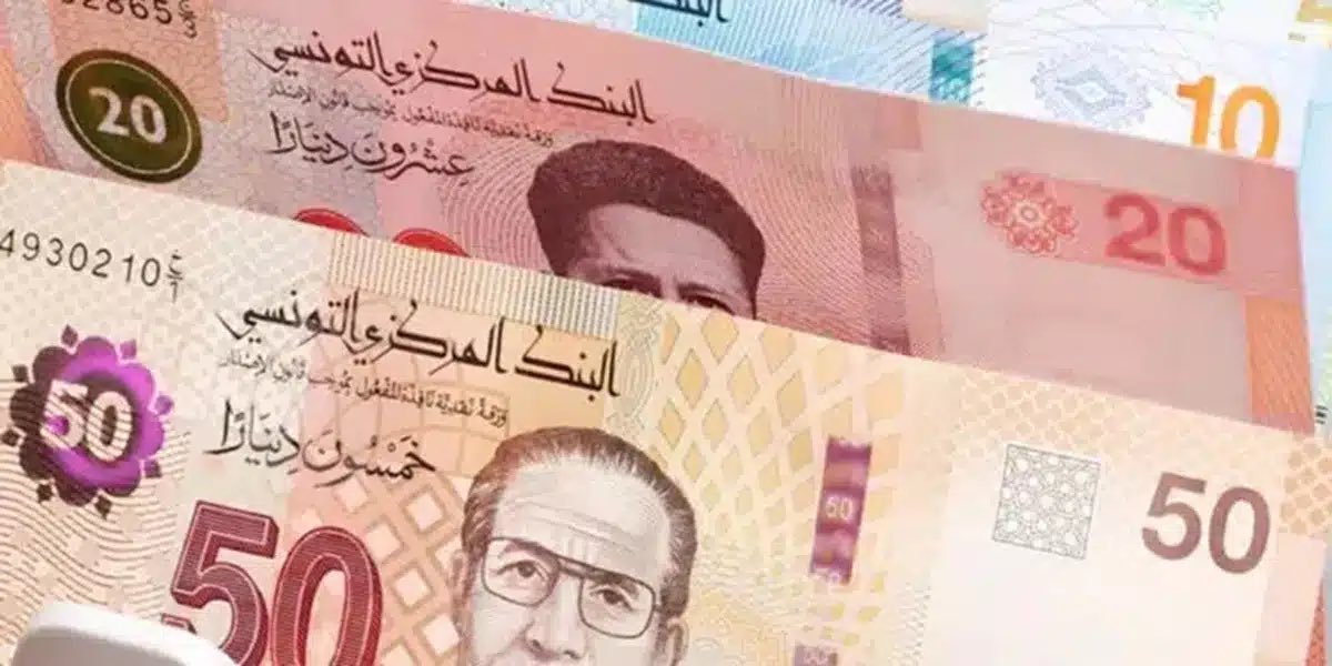 Tunisian’s 🔆 tweet media