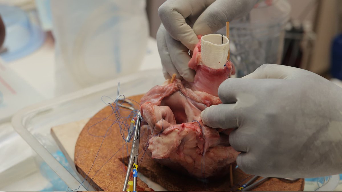 Association of Surgeons of Uganda (ASOU) tweet media