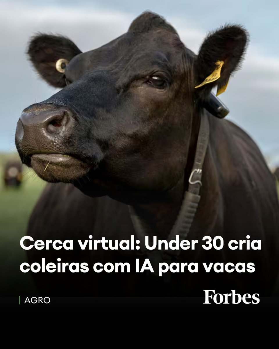 ForbesBR's tweet image. O Under 30 Asia de 2021, Craig Piggott, fundou a startup unicórnio Halter, um dos nomes de mais rápido crescimento no mercado de cercamento virtual de de rebanhos.

🔗Leia mais em: forbes.com.br/forbes-agro/20…

(Fotos: Divulgação)

#ForbesBR #ForbesAgro  #Agtech #Startups #Pecuária