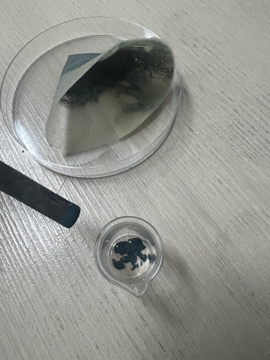 دخترِ اقیانوس tweet media