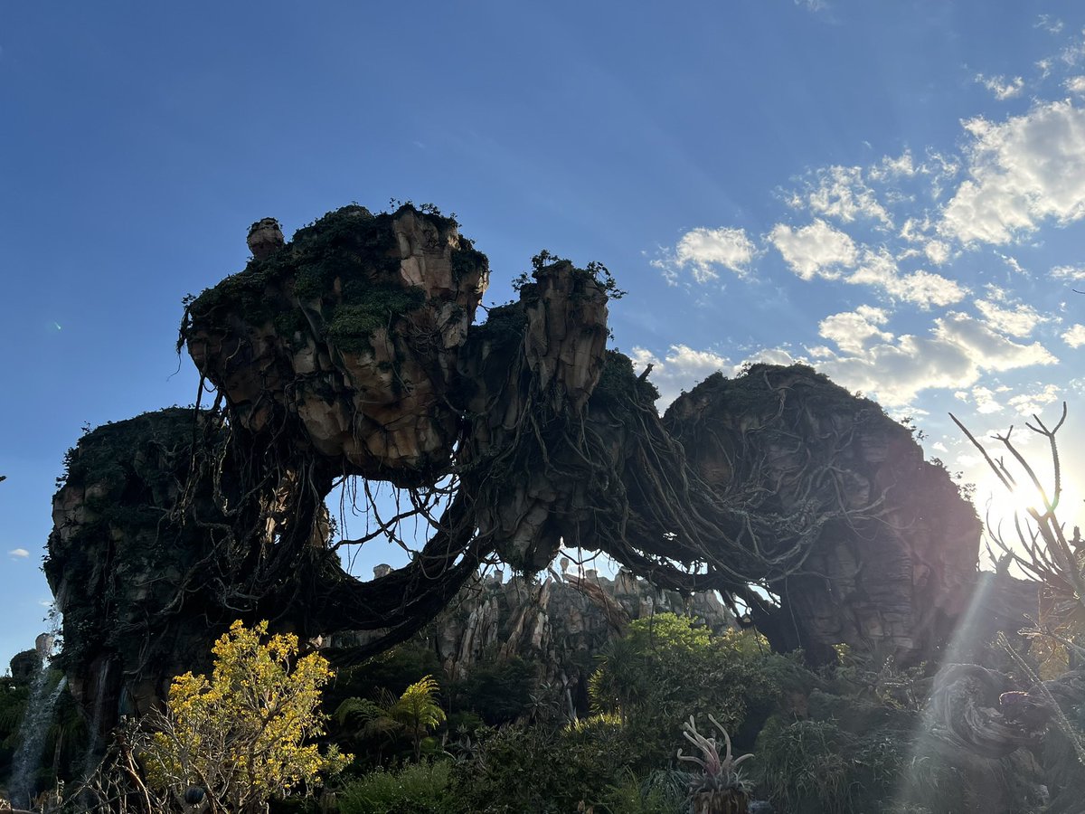 The Giant Peter Adventures tweet media