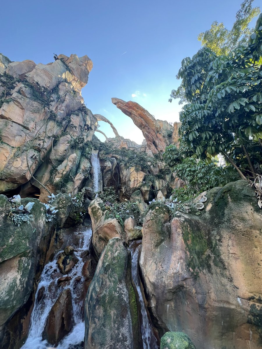 The Giant Peter Adventures tweet media