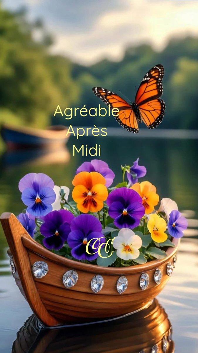 Ambre Zaninello tweet media