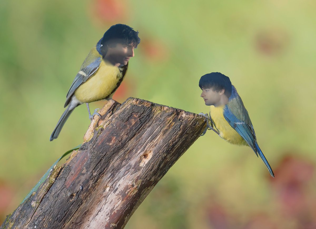 Becca🦦🍂 tweet media