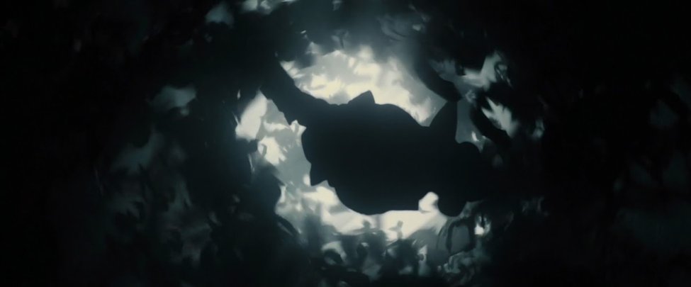 Dillon(!) tweet media