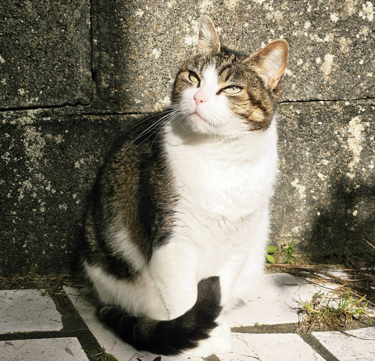 Erwan Courseaux tweet media